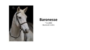 Baronesse1