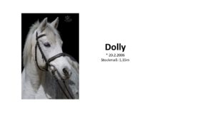 Dolly1