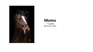 Momo1